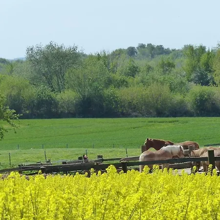 Farm Fraulund - Niehof